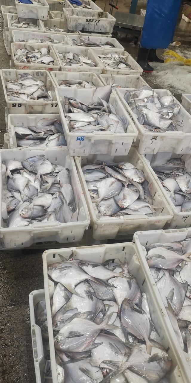 上海东明路水产海鲜市场（上海东方国际水产中心）(5)