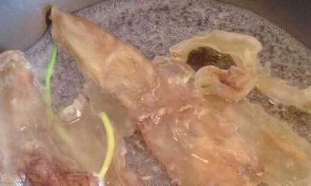 花胶要泡多久，花胶要泡多久？图5
