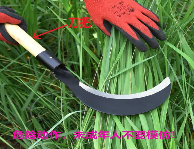 多音字全部笔记（常用多音汉字100个）(4)