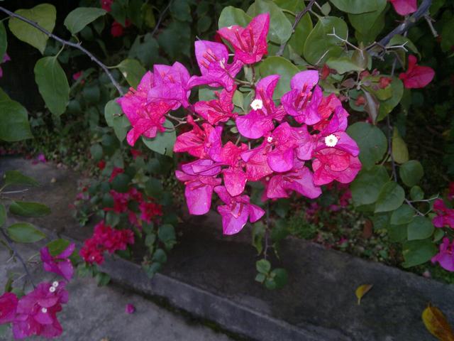 诺基亚n8功能讲解（属于90后的真情怀）(9)