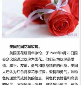 ​美国国花简介,美国的国花是什么