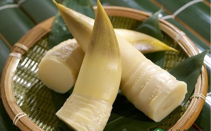 鲜竹笋怎么吃