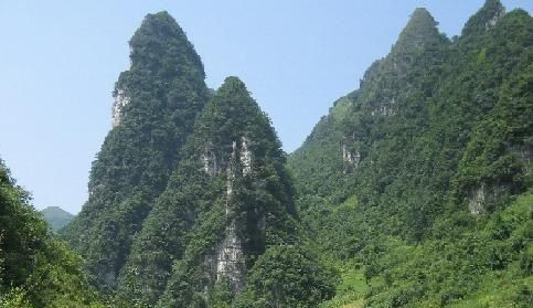父亲节送什么鲜花，父亲节将至，你会送什么礼物或为爸爸做些什么事情表达爱意？图2