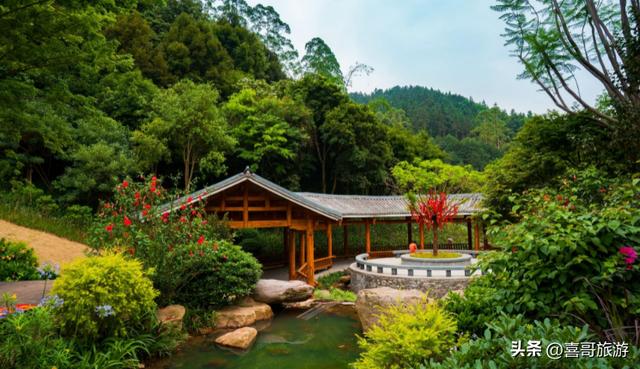 南宁兴宁区旅游景点推荐（广西南宁市兴宁区值得游玩的旅游景点有哪些）(10)