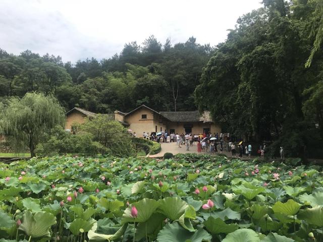 湖南有哪些有名的旅游景点（湖南十大必玩景点）(14)