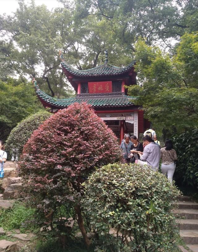 湖南有哪些有名的旅游景点（湖南十大必玩景点）(13)