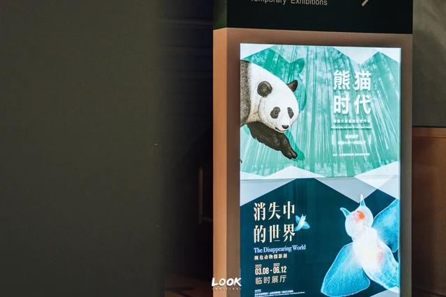 北京值得打卡的免费博物馆（北京最难约的博物馆）(44)