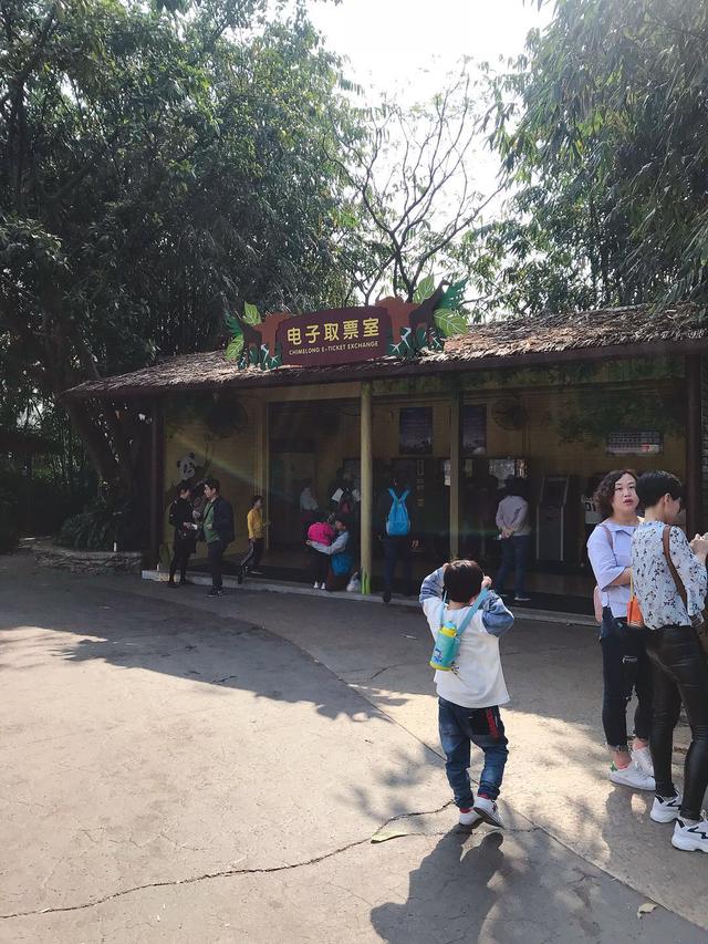 广州长隆野生动物园值得玩吗（游广州长隆野生动物园最详细带娃攻略看这里）(10)