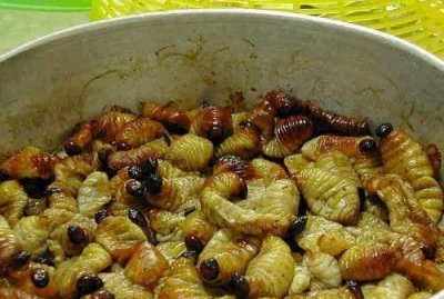 ​苦寒的食物有哪些,寒性、凉性食物一览表