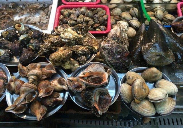 海陵岛游玩攻略三天两夜（这可能是你能看到的最全的海陵岛攻略）(30)