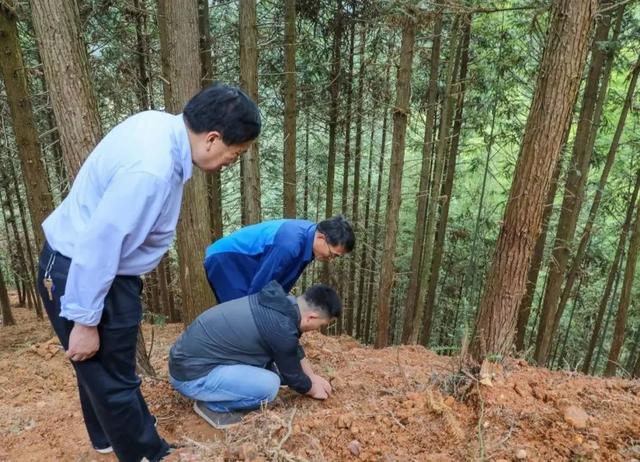 贵州农业职业技术学院（贵州职业技术学院）(10)