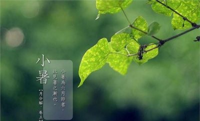 ​今年小暑是几号到几号,小暑是几月几日2021年