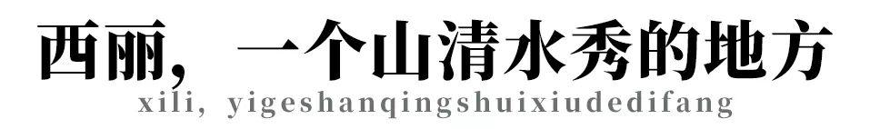 西丽小镇（这里是西丽）(8)