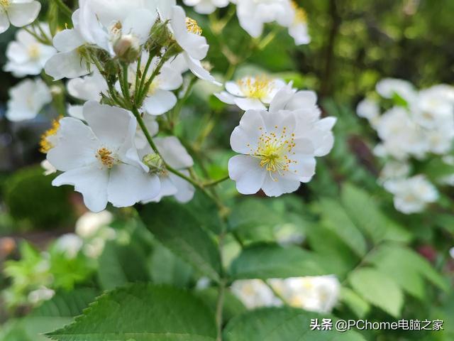 小米mixfold使用感受（小米MIXFOLD体验评测小米一贯风格加上刀法）(22)