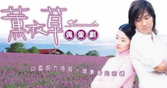 许玮伦演过海豚湾恋人吗（海豚湾恋人男主角许绍洋45岁近照曝光）(4)