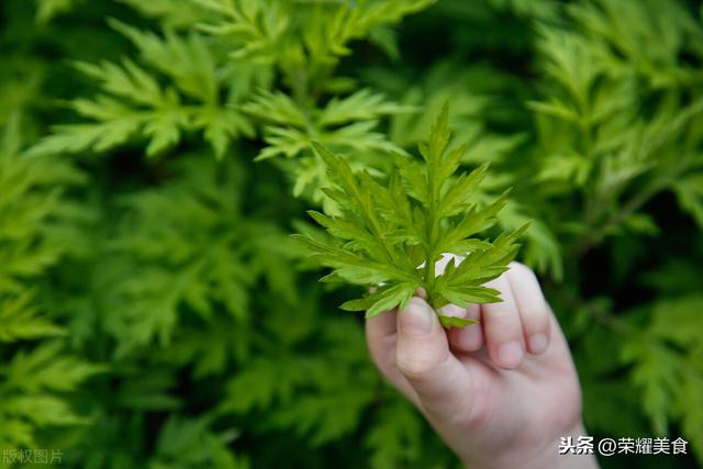 这个夏天一定不要错过艾叶煮鸡蛋（记得用艾草煮鸡蛋汤）(16)