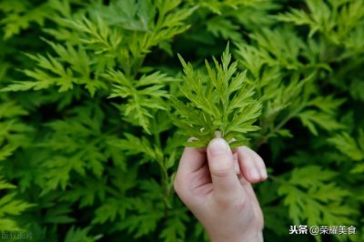 ​这个夏天一定不要错过艾叶煮鸡蛋（记得用艾草煮鸡蛋汤）