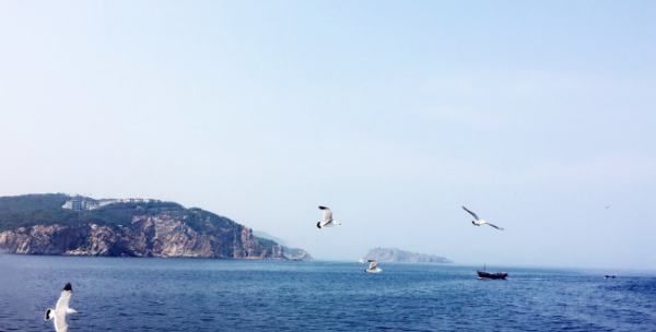 大连旅游必去景点,大连景色优美的地方图6