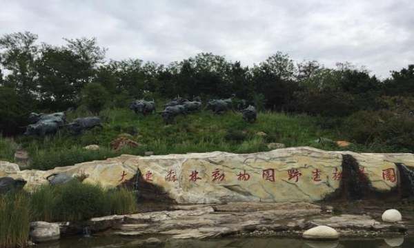 大连旅游必去景点,大连景色优美的地方图3