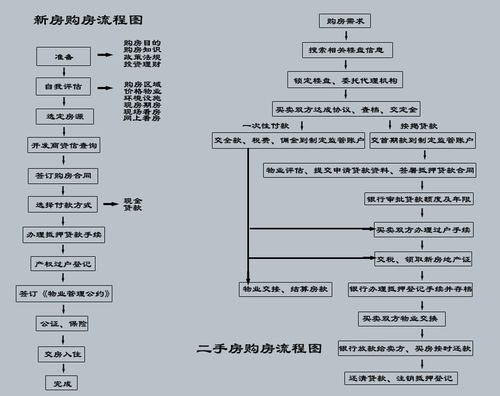 买房流程及注意事项和手续（购房详细流程和注意事项）
