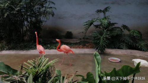 浣涘唸鍘夸汉姘戝尰闄㈠畼缃?浣涘唸鍘夸汉姘戝尰闄綋妫€涓績鐢佃瘽)-绗?寮犲浘鐗?