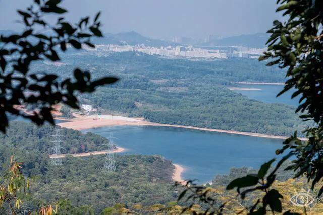 深圳10大公园排名（深圳少有人知十大免费特色公园）(33)