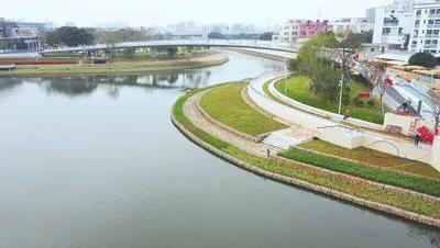 深圳10大公园排名（深圳少有人知十大免费特色公园）(27)