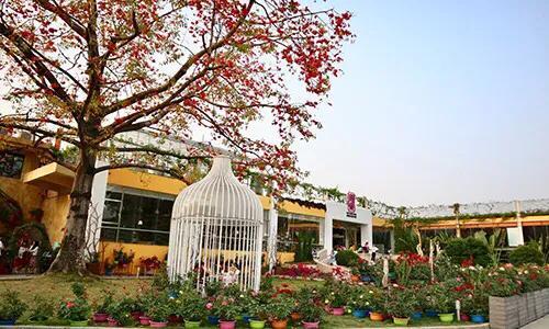 深圳10大公园排名（深圳少有人知十大免费特色公园）(11)