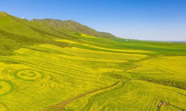 鹤峰县美食，我有一个梦想：自驾游遍全国。你愿意向我推荐你家乡的美景美食和生动有趣的习俗吗？图9