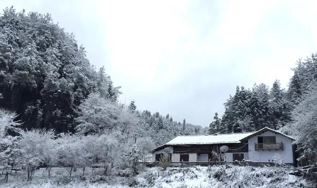 鹤峰县美食，我有一个梦想：自驾游遍全国。你愿意向我推荐你家乡的美景美食和生动有趣的习俗吗？图21