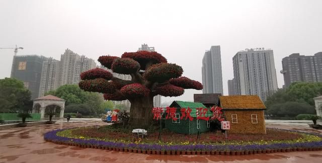鹤峰县美食，我有一个梦想：自驾游遍全国。你愿意向我推荐你家乡的美景美食和生动有趣的习俗吗？图35