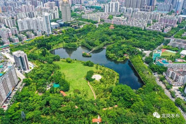 深圳龙岗主要公园攻略（家门口这200多个公园你打卡过几个）(14)