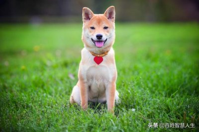 ​手指开裂无法愈合是怎么回事（手指开裂到底是怎么回事呢）