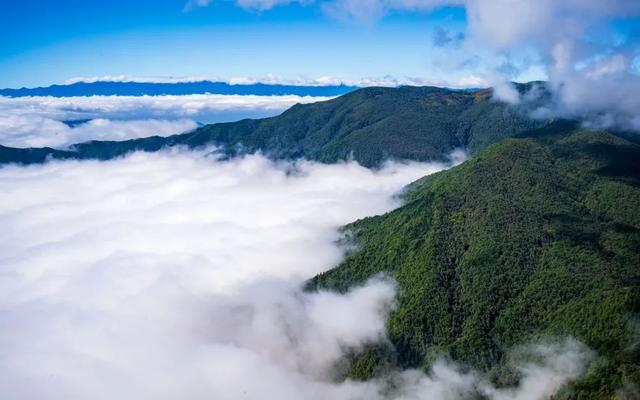 大理宾川鸡足山景区旅游攻略（11月免费的大理宾川鸡足山）(20)