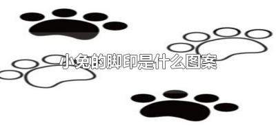 ​小兔的脚印是什么图案（小兔的脚印像什么）