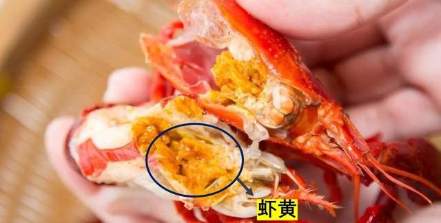 小龙虾公母都有虾黄吗，最近正是吃小龙虾的季节，小龙虾的头、虾黄到底能不能吃？图3