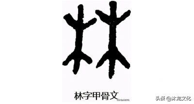 ​姓氏林的来源和名人和现状（林姓起源历史简介）
