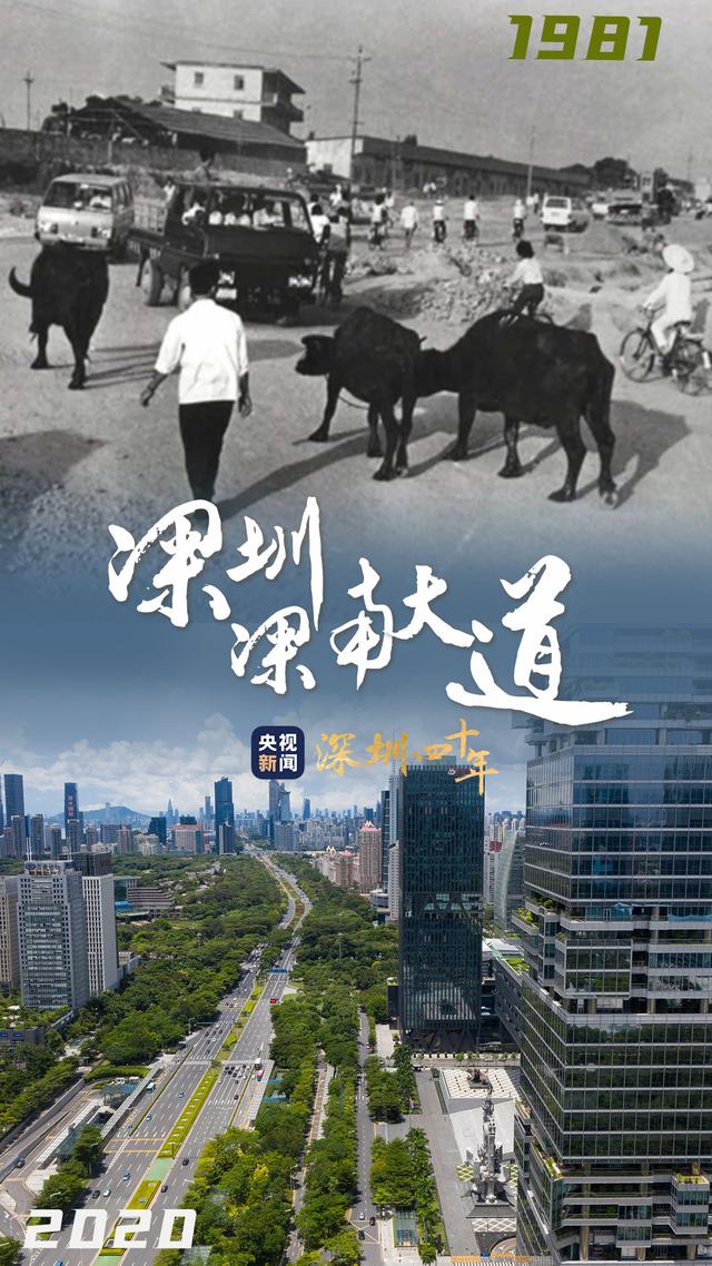 深圳成立经济特区四十周年（四十不惑历9）(3)