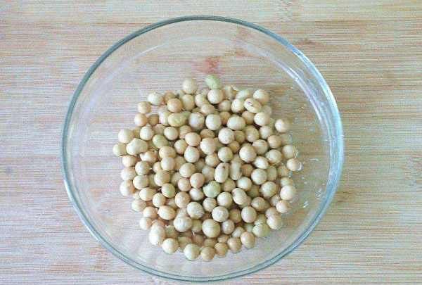 怎么生黄豆芽最简单的方法,黄豆芽怎么发最好图3