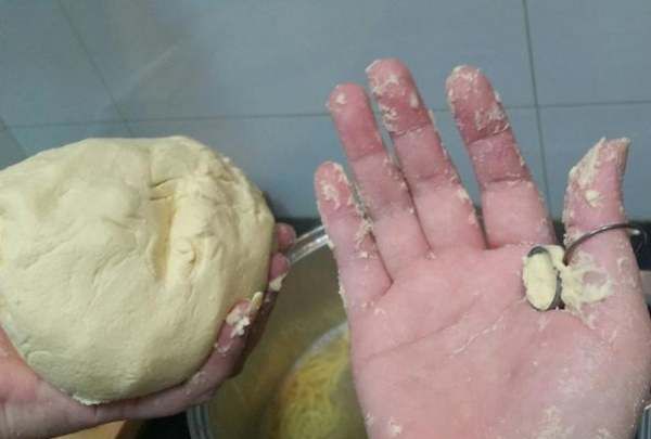 酸汤子学名叫啥,人食用什么会慢性死亡图10