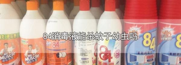 消毒水可以杀虫,消毒水能杀蟑螂吗图3