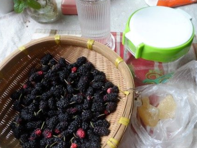 桑葚泡酒为什么浮起来,桑葚干泡水为什么桑葚干沉底不漂浮呢图5