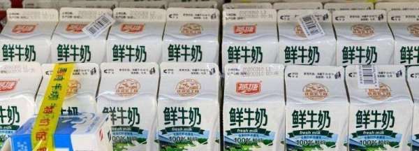 鲜牛奶放冰箱可以储存多久,新鲜牛奶在冰箱可以放几天吗图2