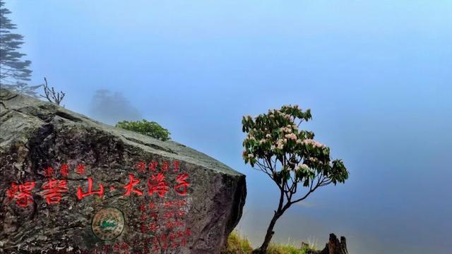 四川4月免费景点都要预约吗（四川这些景区5月19日有优惠）(3)