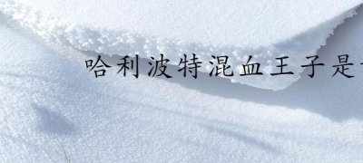 ​哈利波特混血王子是谁(《哈利波特6》混血王子角色简介)