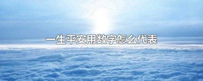 ​一生平安用数字怎么代表(一生平安可以用数字)