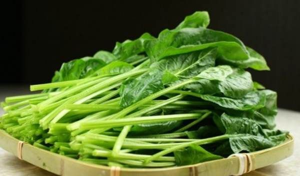 哪些蔬菜的热量低,卡路里最低的食物是什么图2