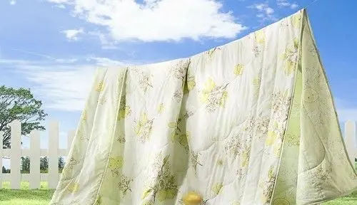 晒好的被子为什么不能拍,晒被子为什么不能拍打图6
