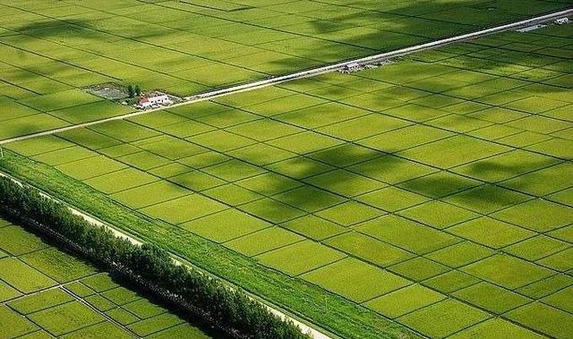 国土面积最大的国家，中国和俄罗斯是一个国家吗？图3