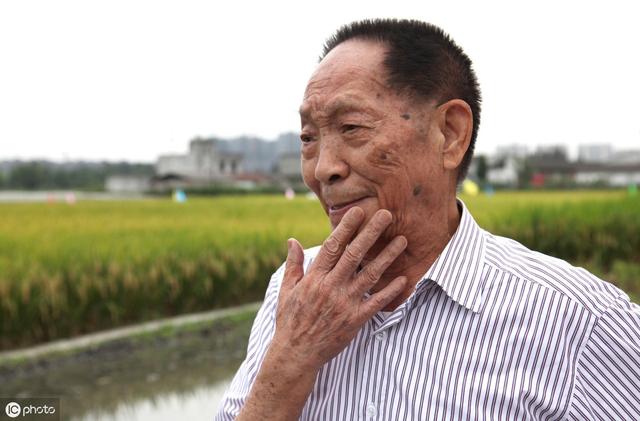 袁隆平逝世享年91岁是（今天是袁隆平院士九十寿诞）(2)